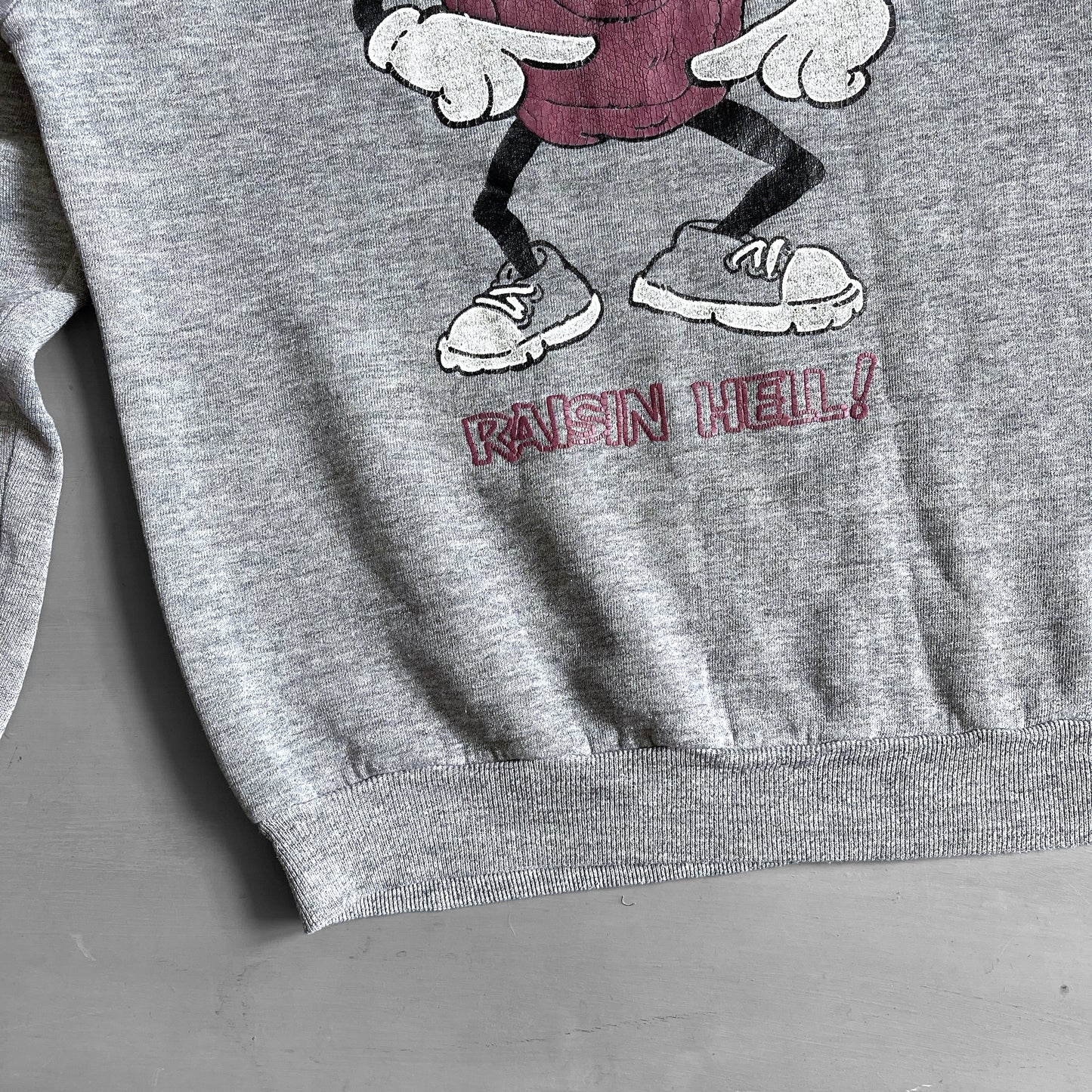 1990s Raisin hell sweatshirt (M)