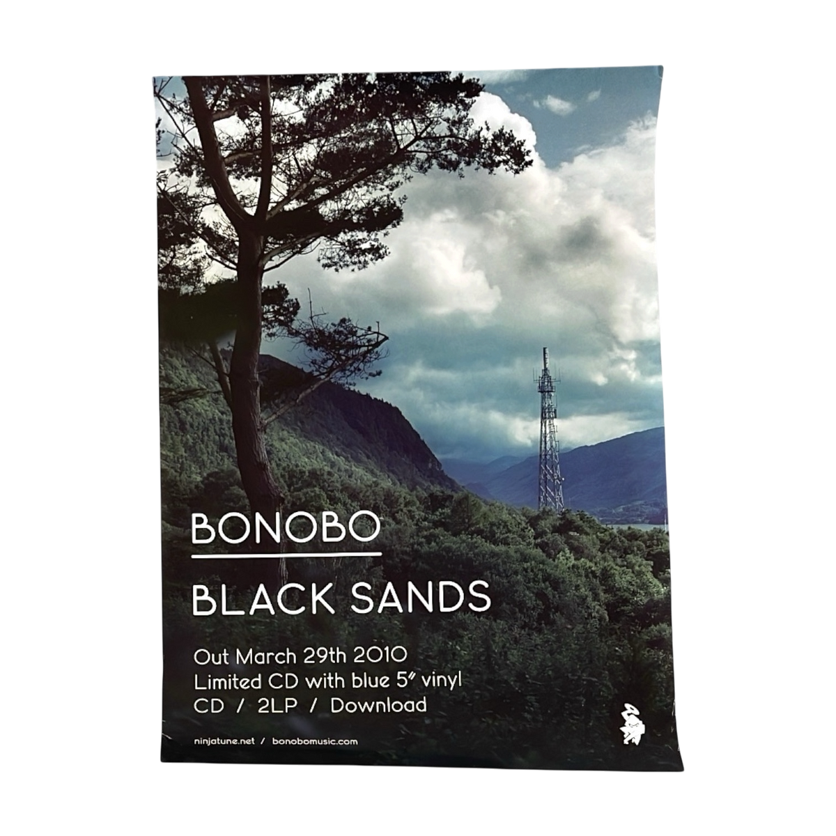 2010 BONOBO poster