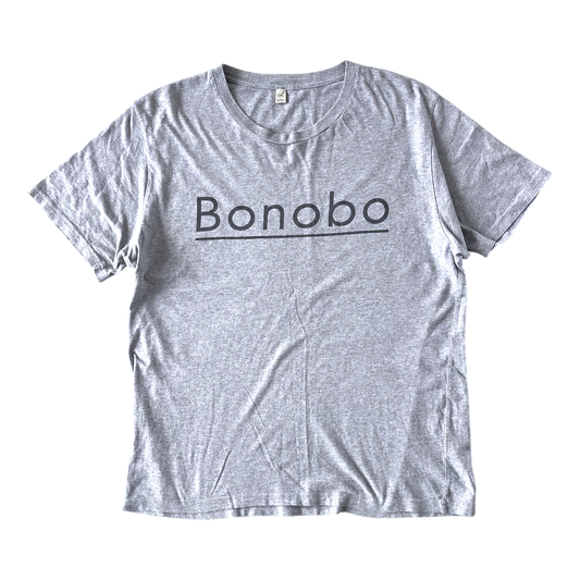 2010s Bonobo T-shirt (L)