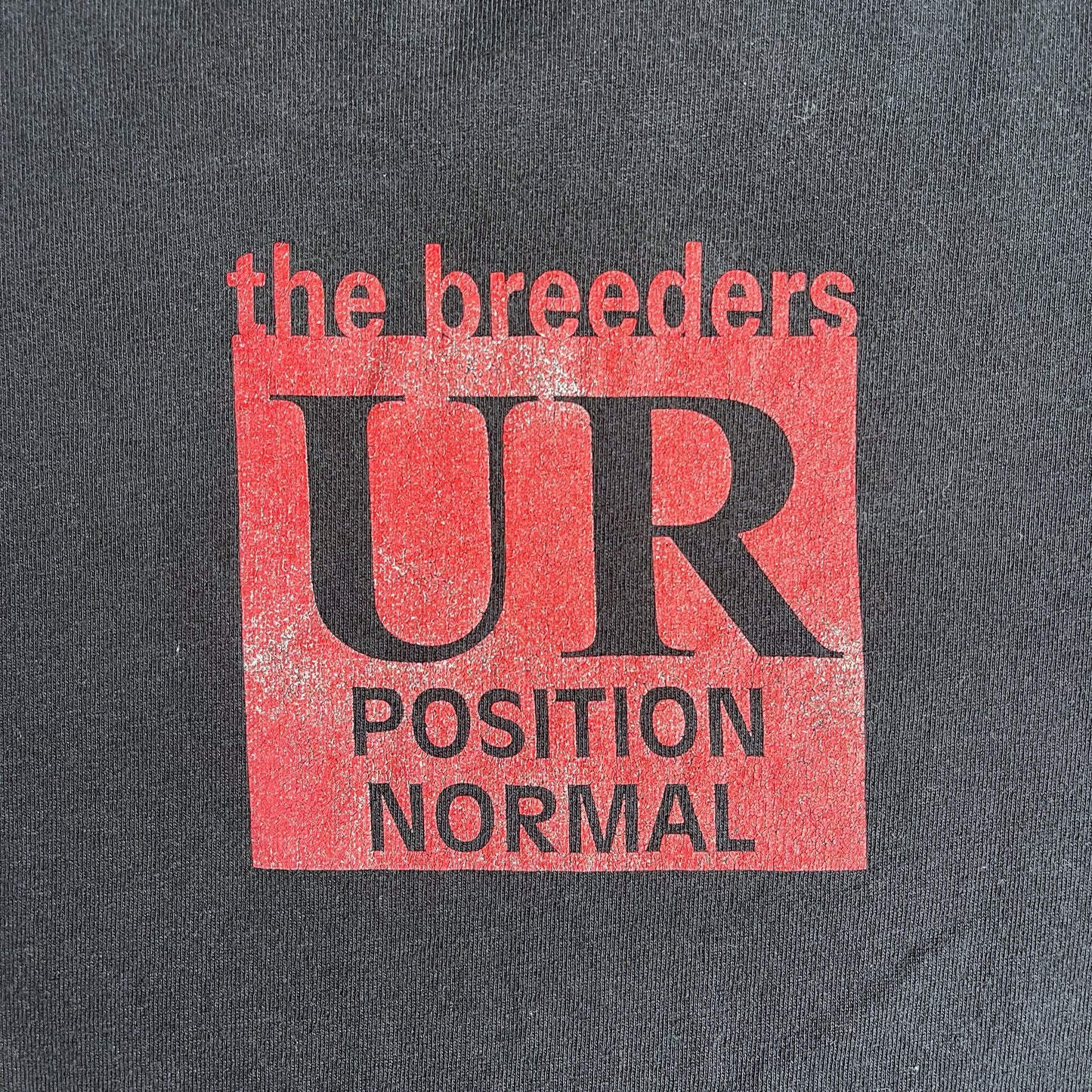 Late 90s early 2000s The Breeders T-shirt