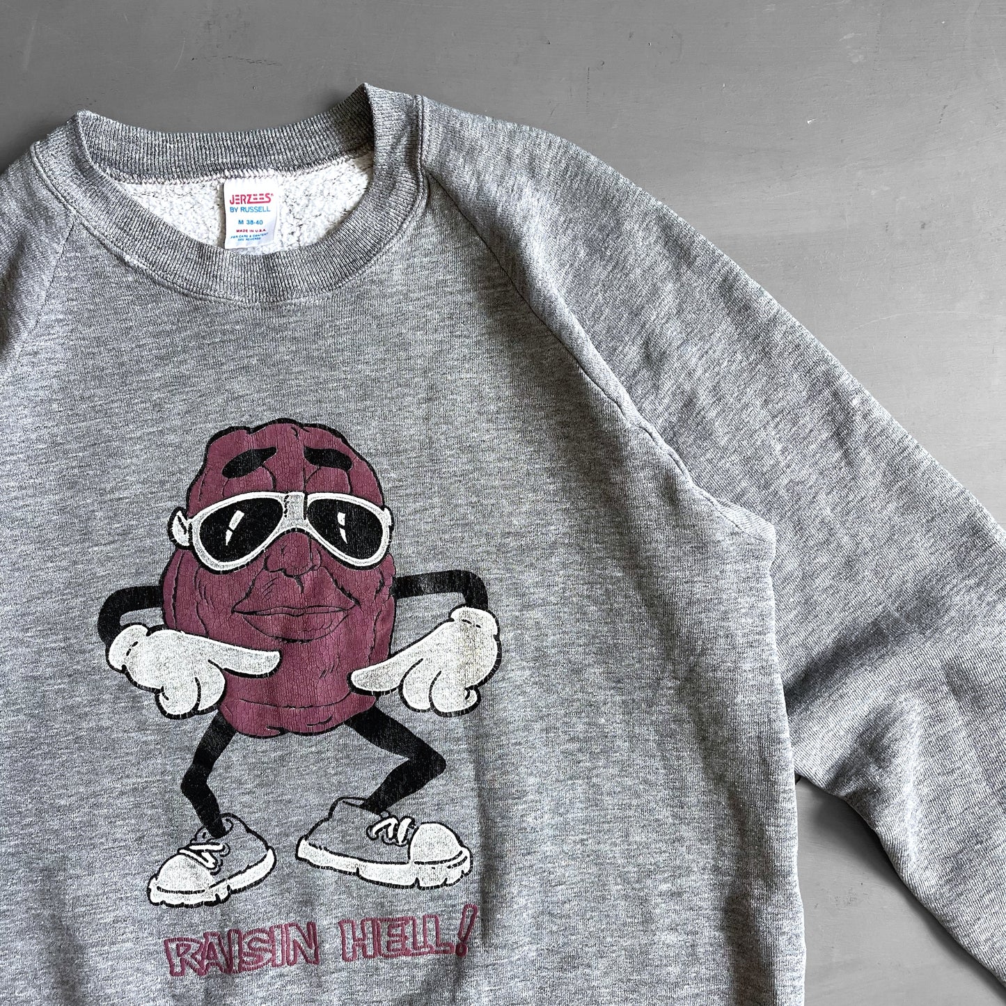 1990s Raisin hell sweatshirt (M)