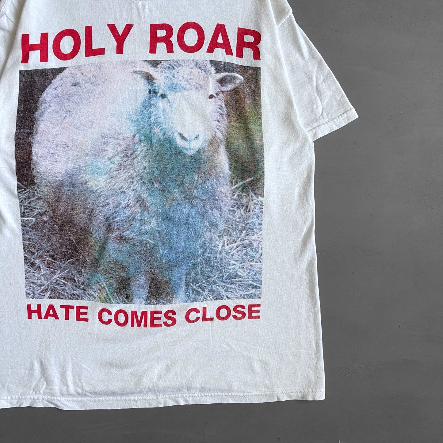 2000s Holy Roar hate comes close T-shirt (M)
