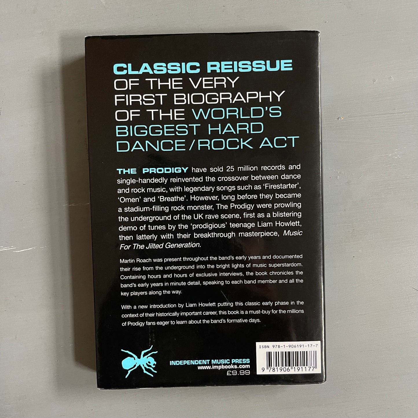2010 The Prodigy electronic punks book