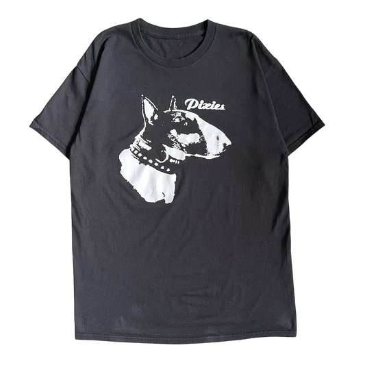 2009 Pixies T-shirt (M)