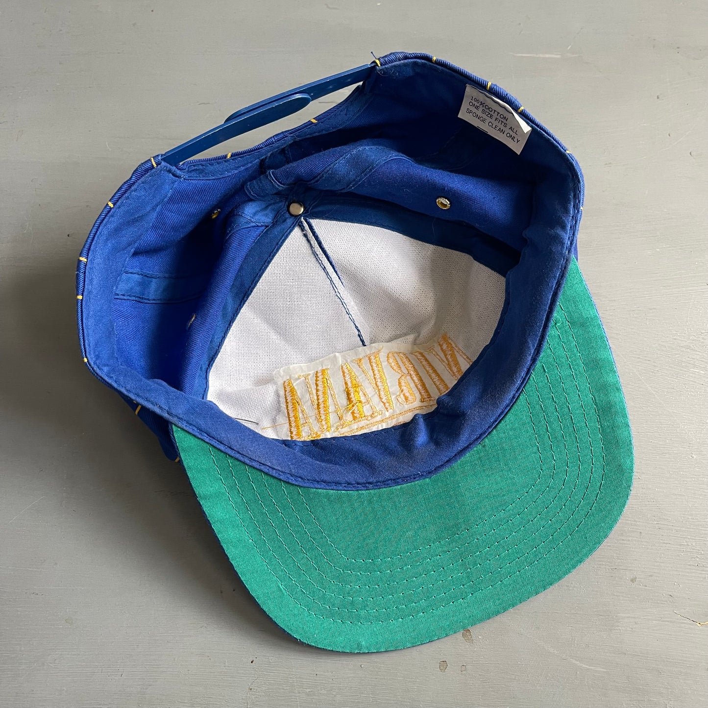1990s Nirvana Nevermind cap