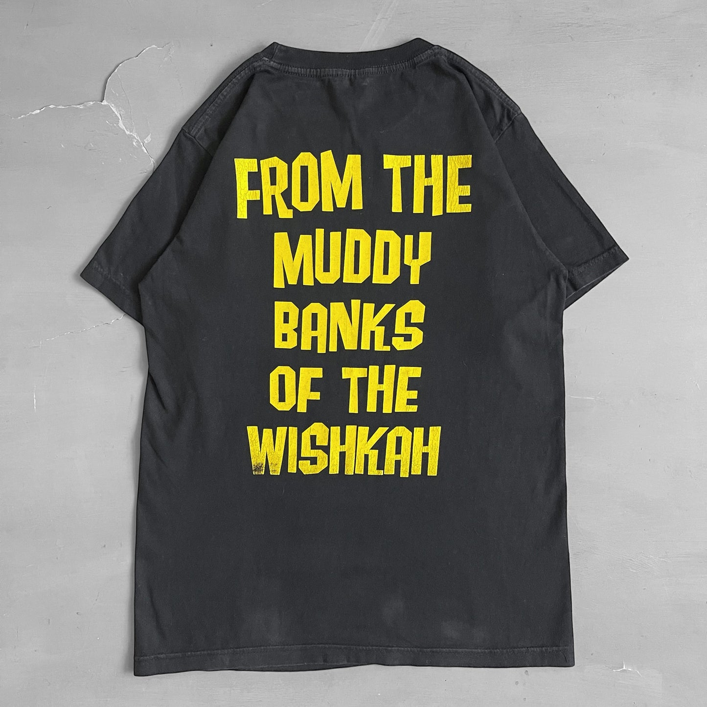 2004 Nirvana from the muddy banks of the wishka T-shirt (M)