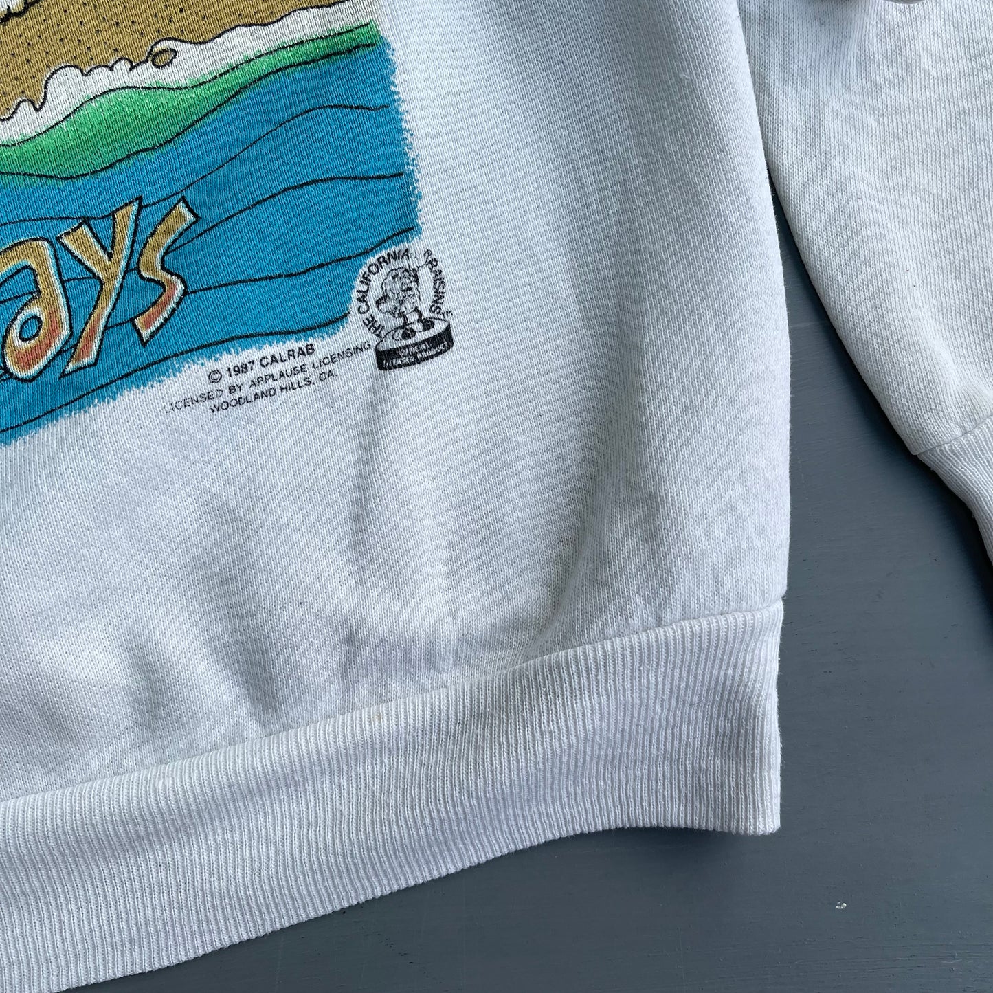 1987 Soakin rays sweatshirt jumper (S/M)