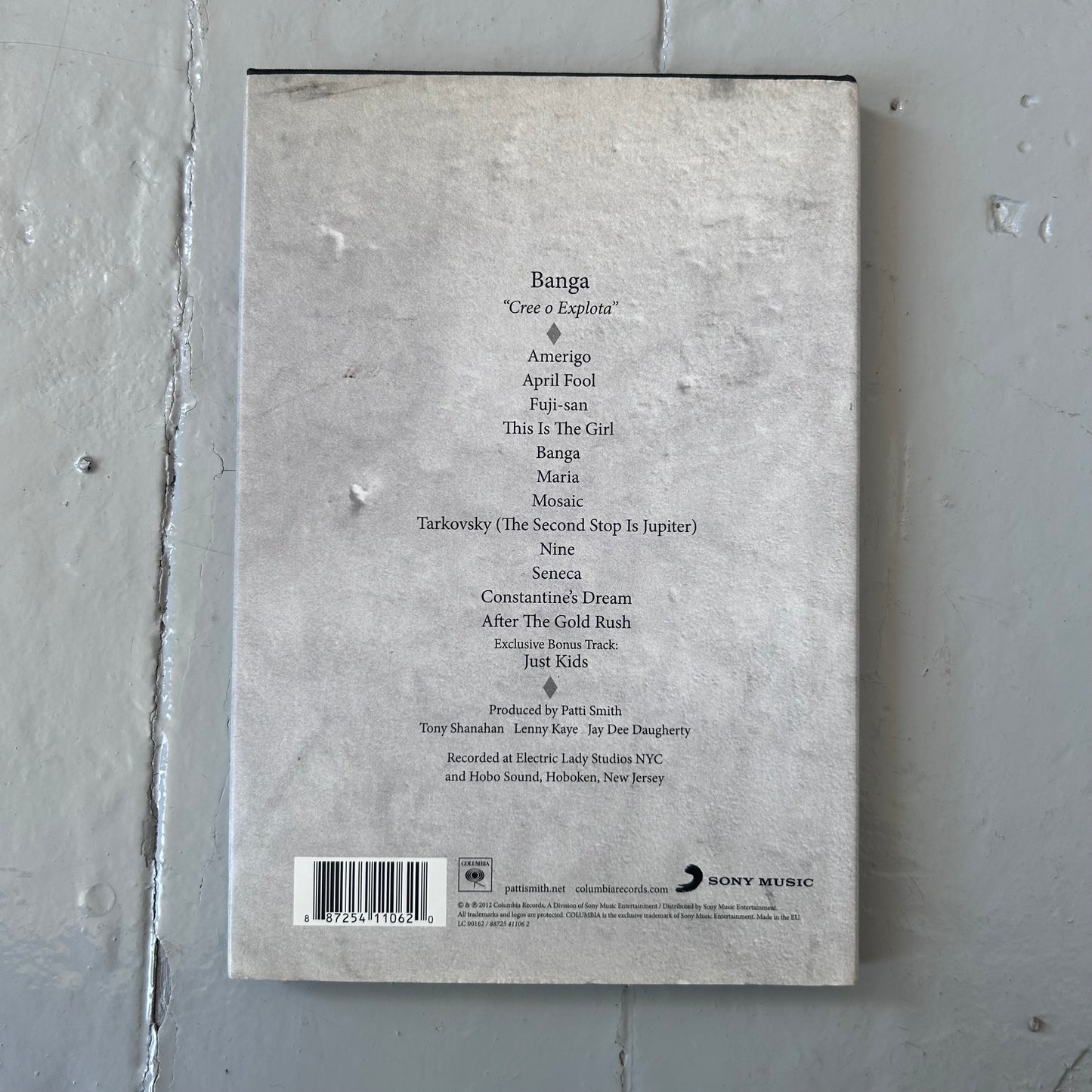 2012 Patti Smith Banga Booklet / CD