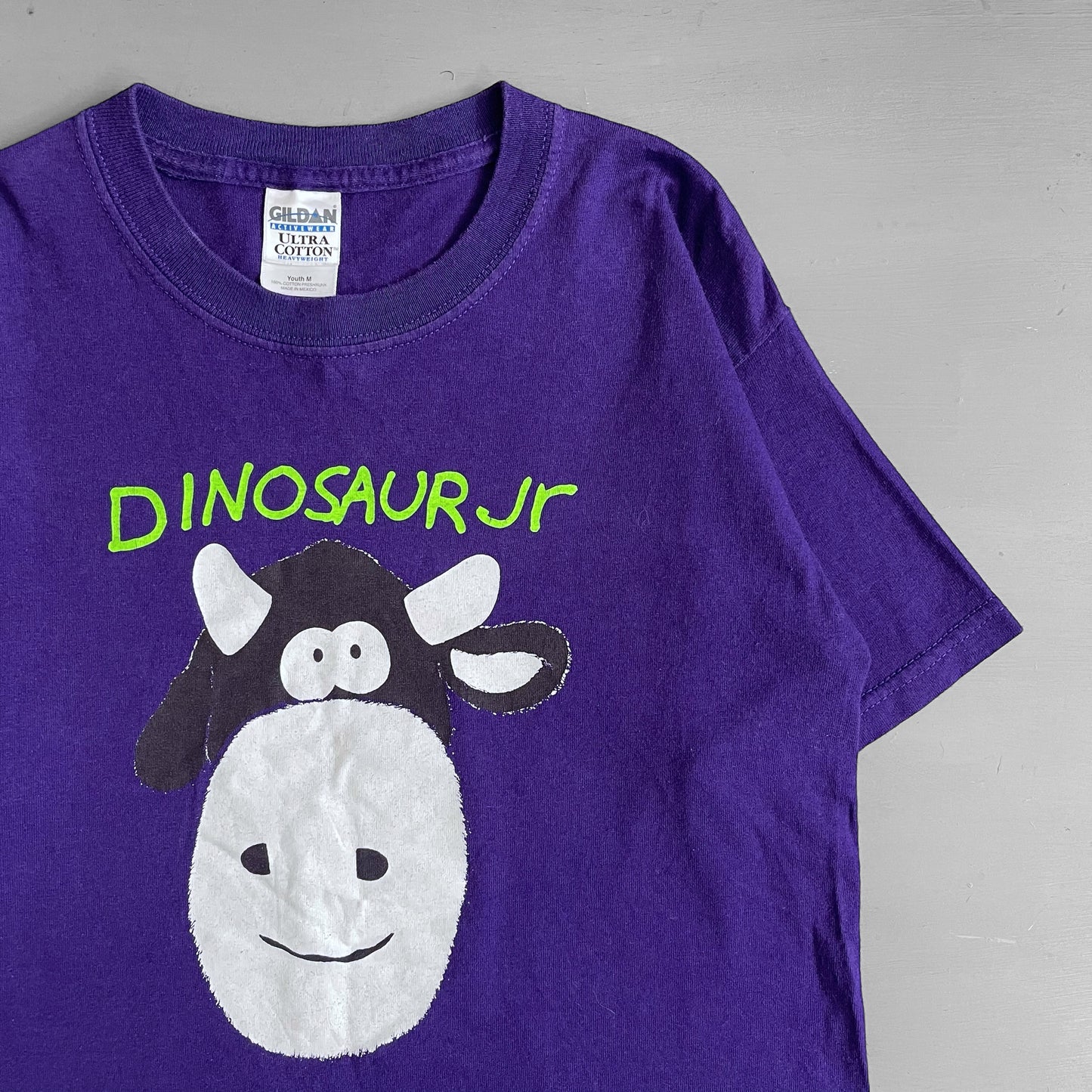 Early 2000s Dinosaur Jr T-shirt (XS/S)