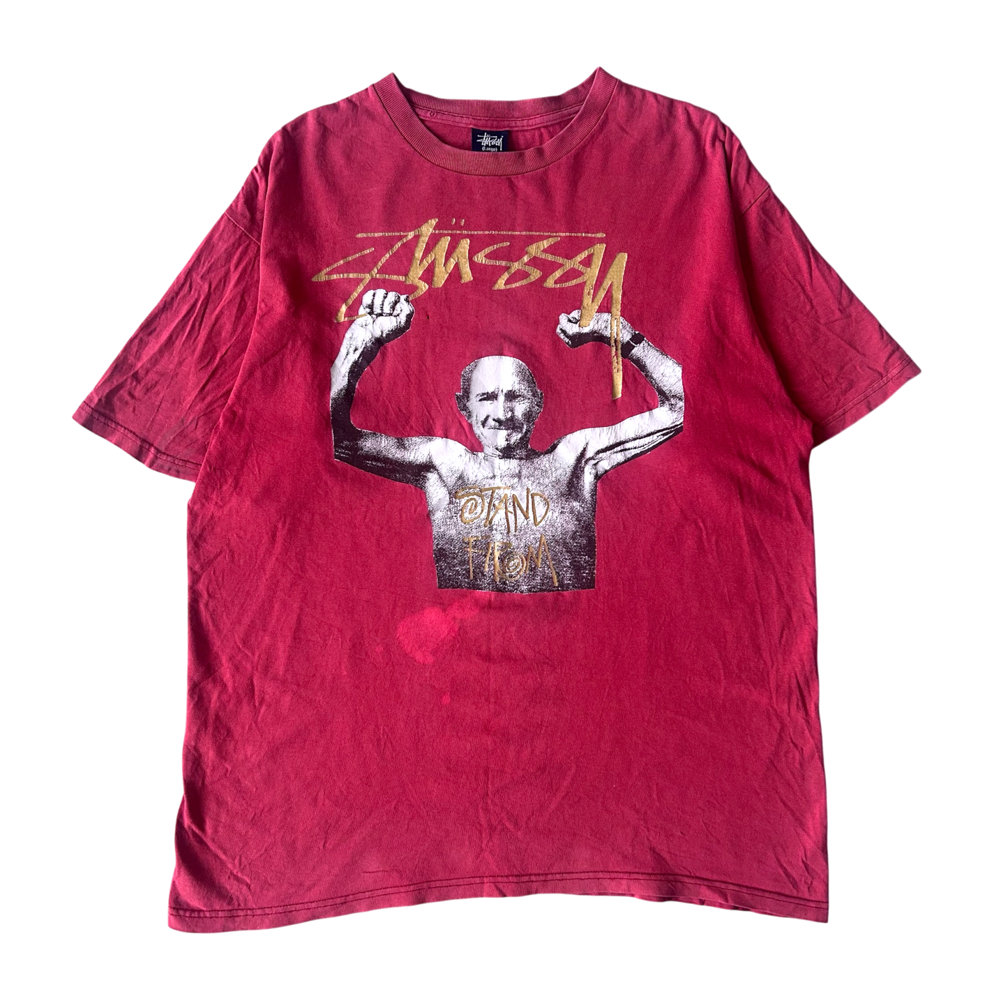 Early 2000s STUSSY T-shirt (L)