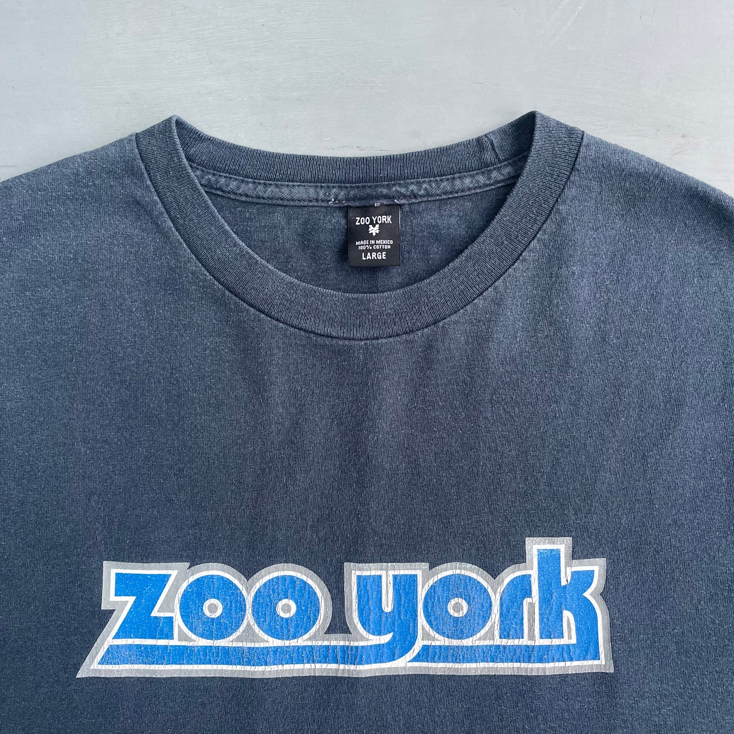 Early 2000 Zoo York T-Shirt (L)