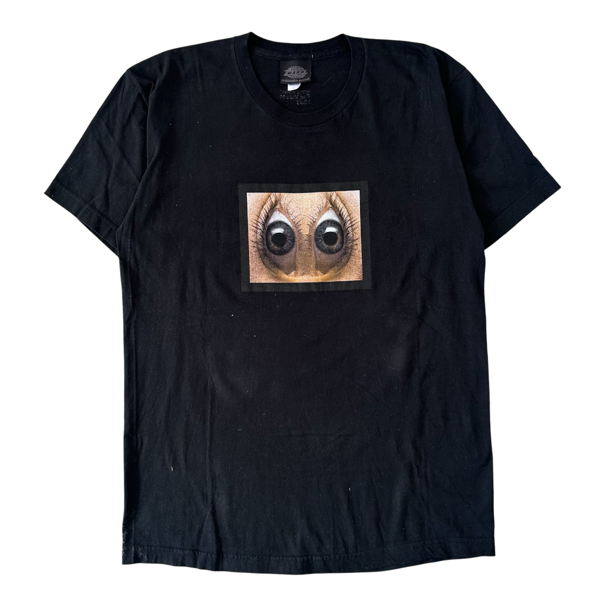 2004 Warp Records vision T-shirt (M)