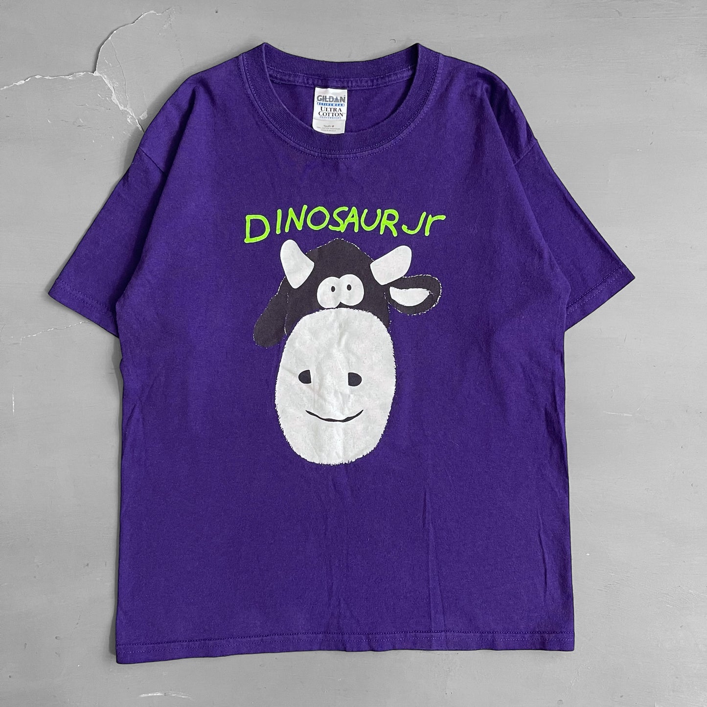 Early 2000s Dinosaur Jr T-shirt (XS/S)