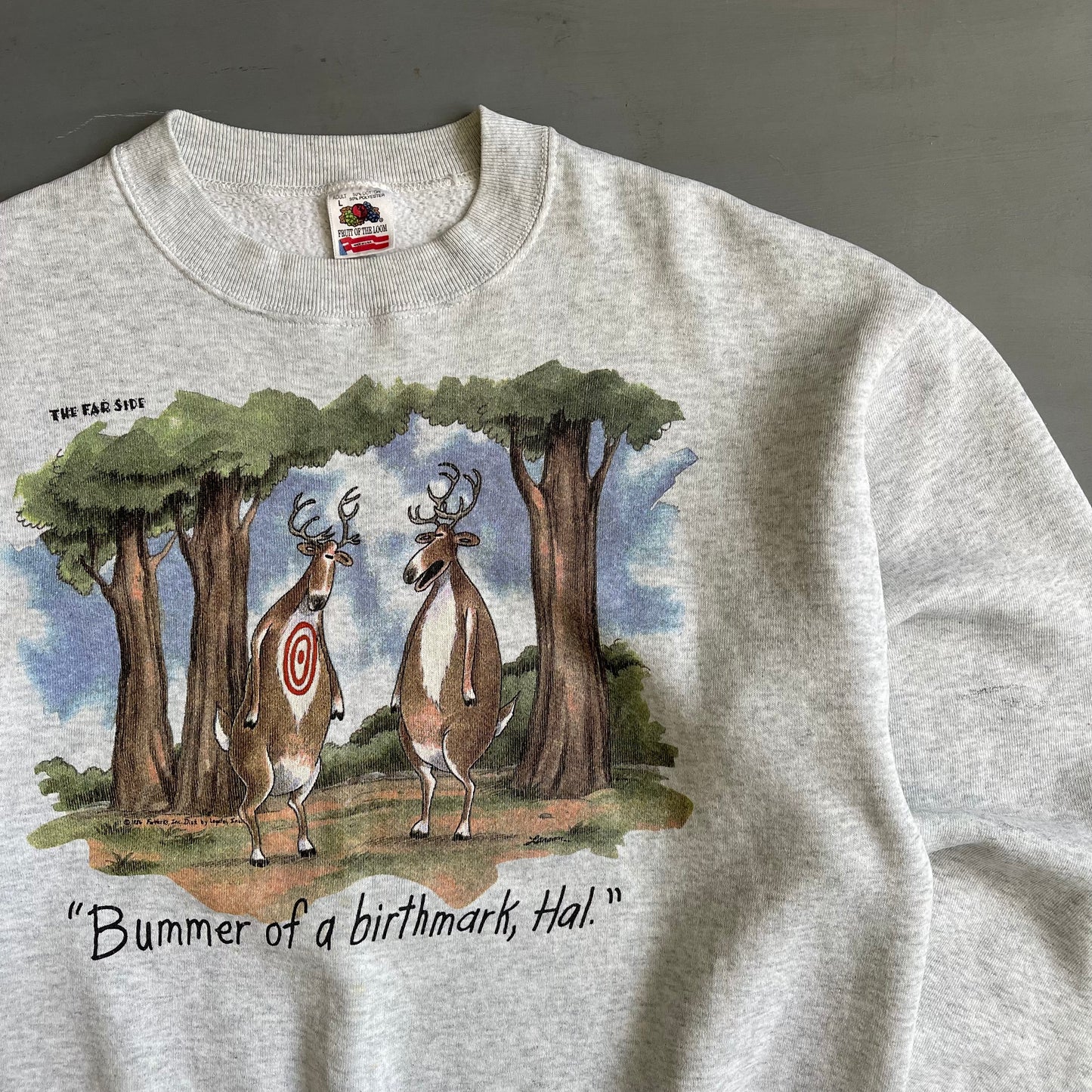 1986 Bummer of a birthmark, Hal sweatshirt (L)