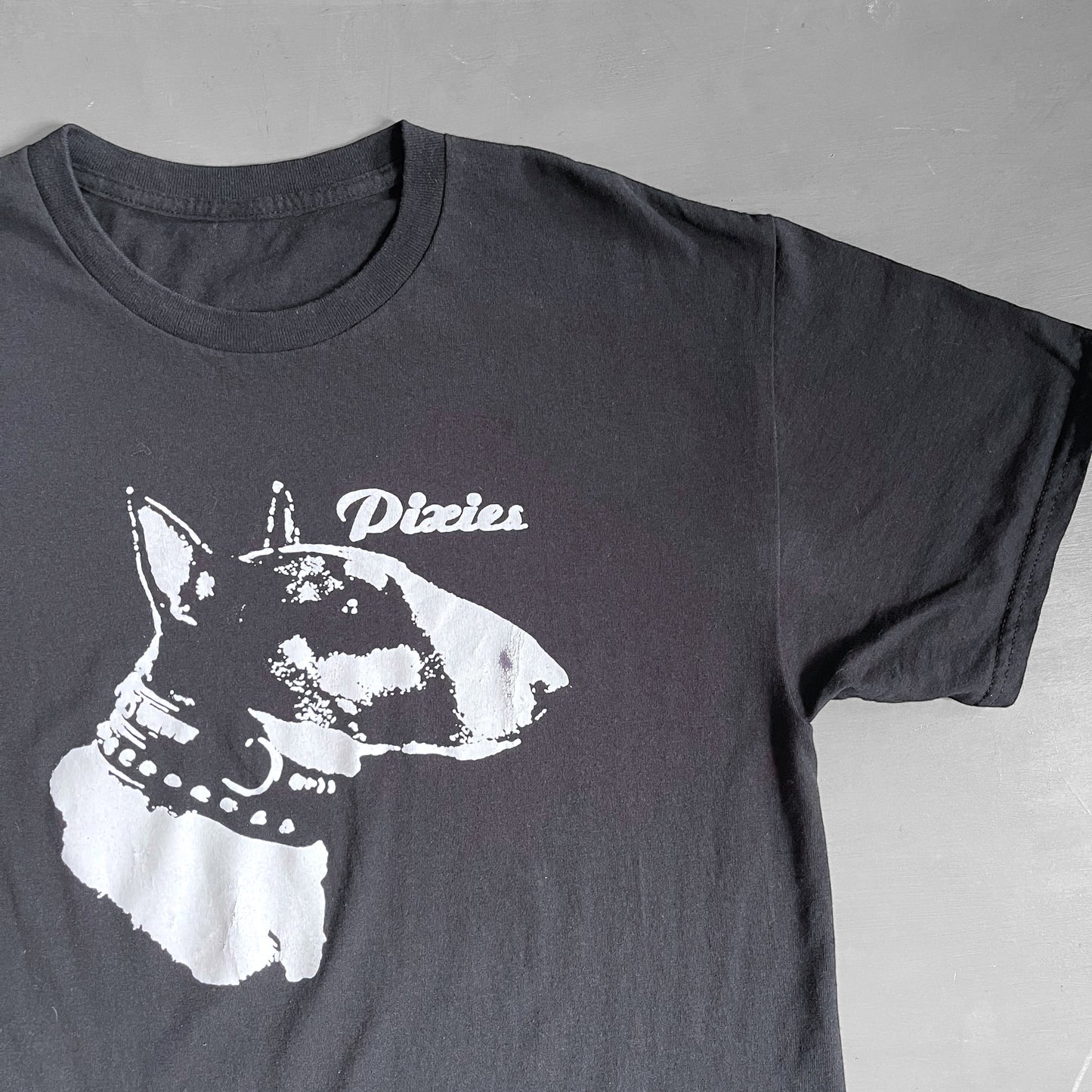 2009 Pixies T-shirt (M)