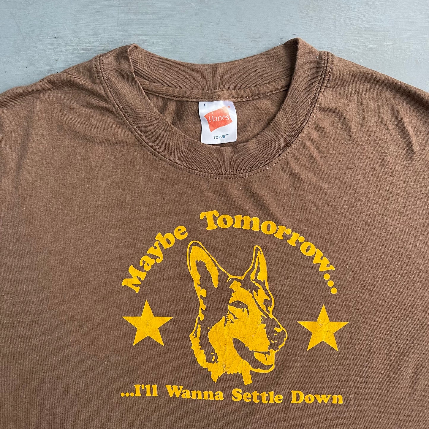 1990s maybe tomorrow I’ll wanna settle down T-Shirt (L)