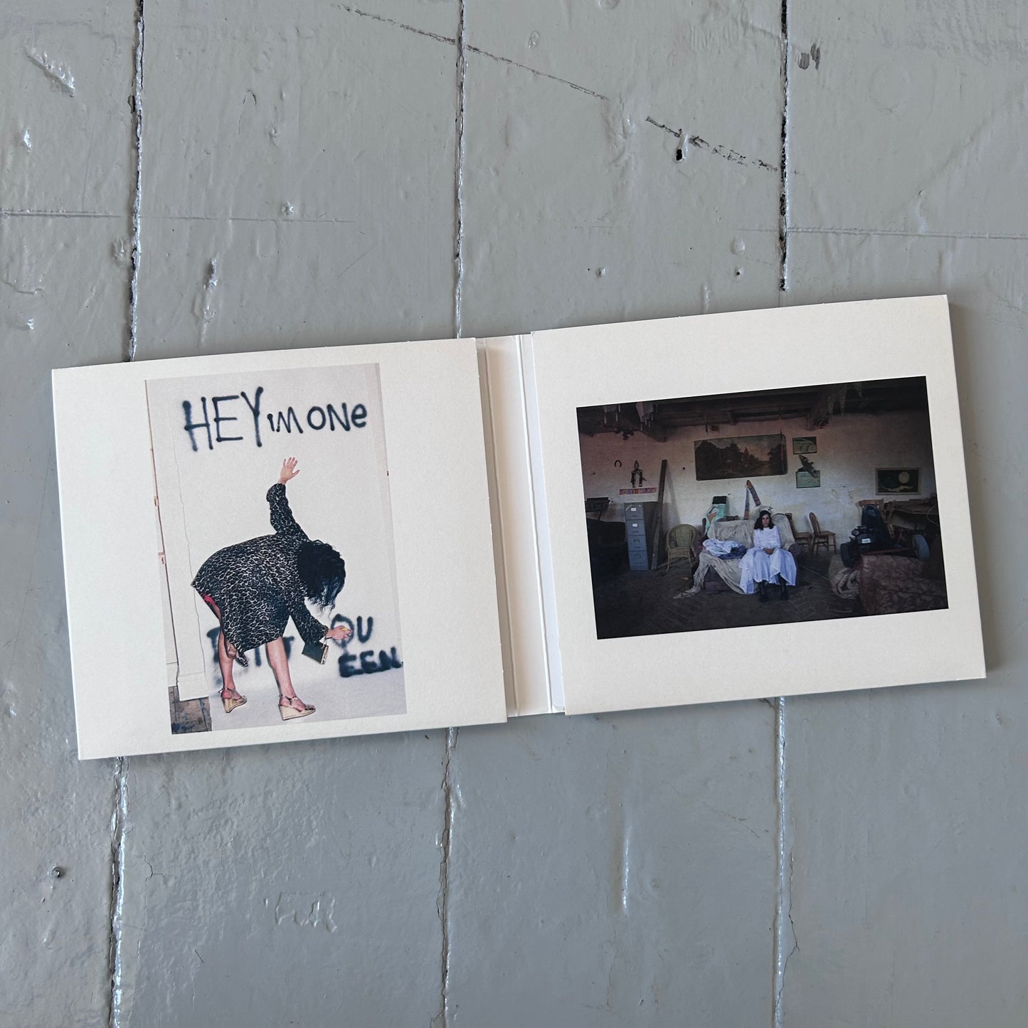 2022 Pj Harvey B-sides, demos & rarities CD / art Booklet