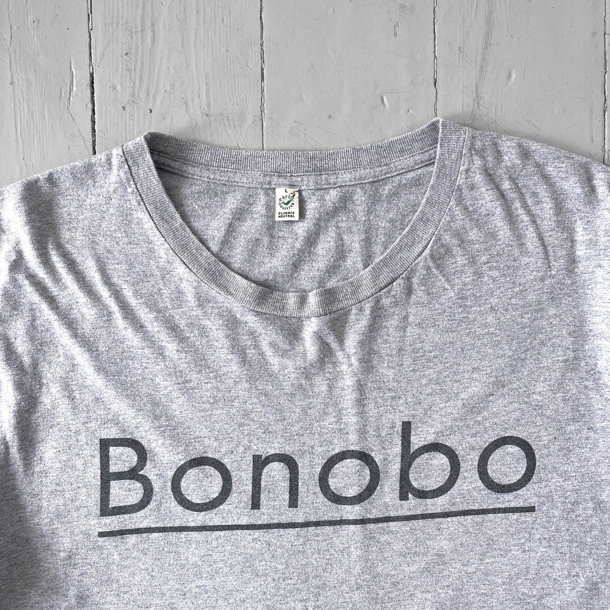 2010s Bonobo T-shirt (L)