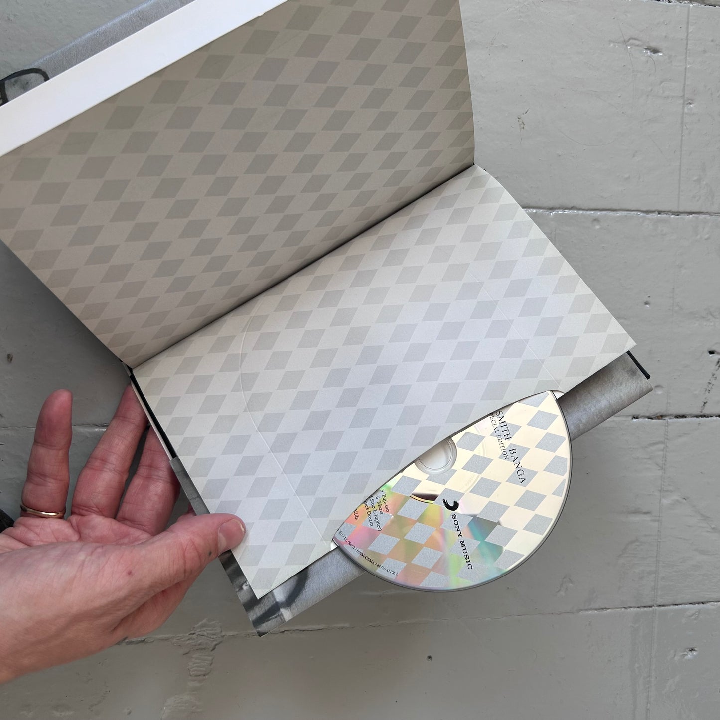 2012 Patti Smith Banga Booklet / CD