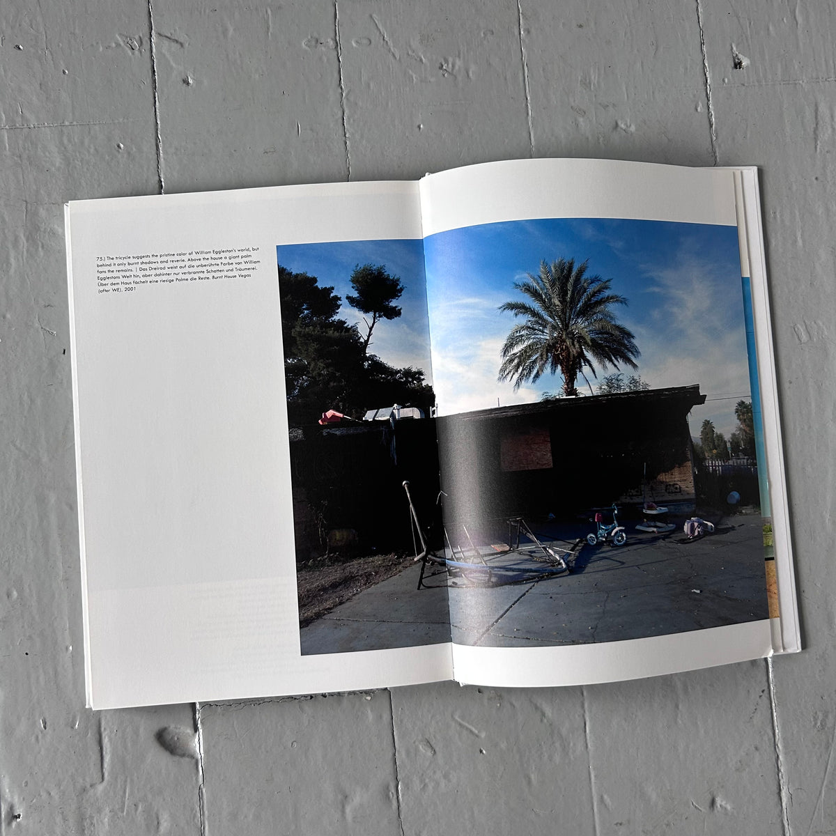 Some Scenic Views hardback book