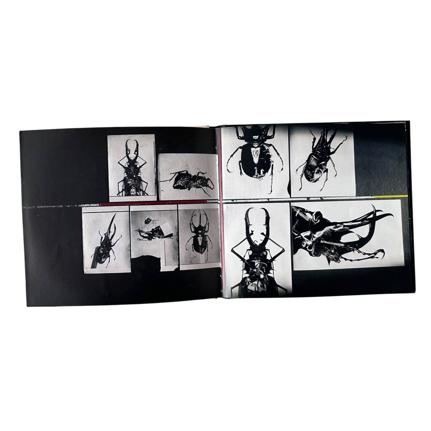 2006 Massive Attack: The best of CD / Book