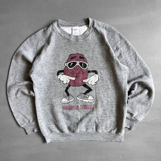1990s Raisin hell sweatshirt (M)