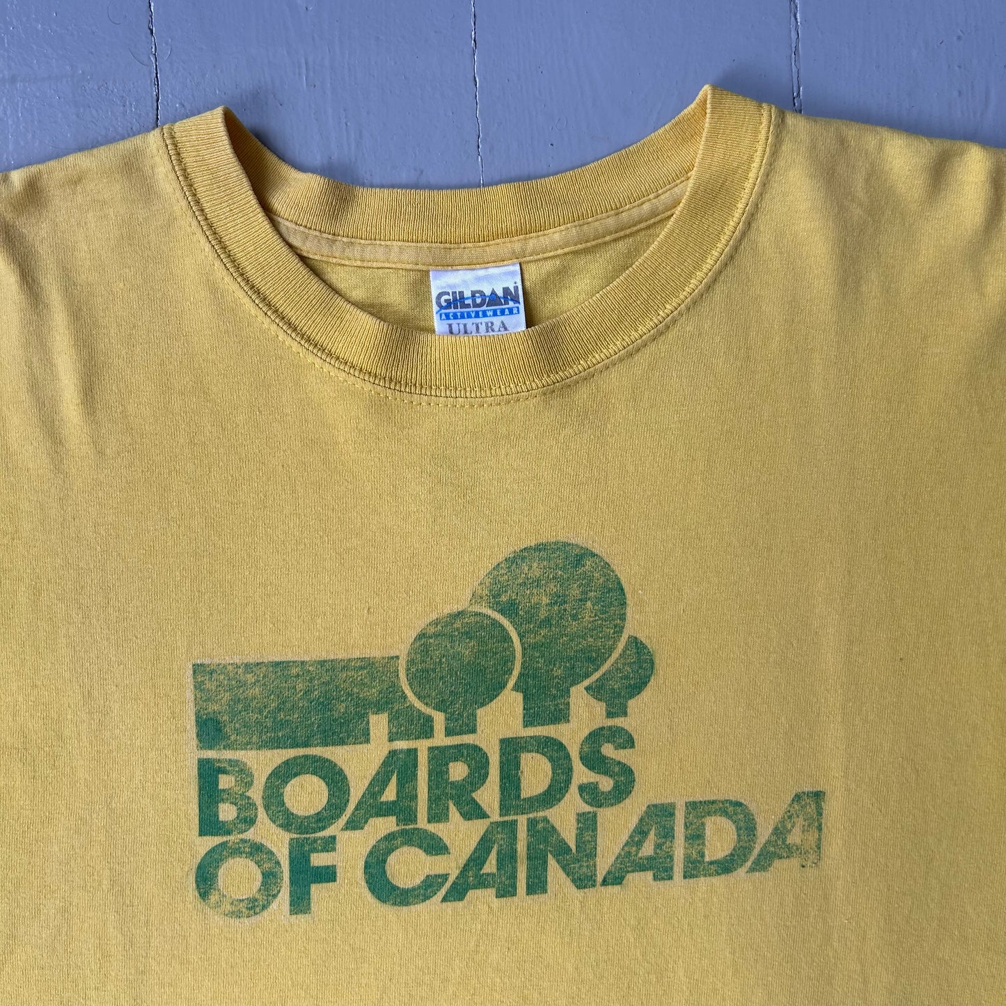 2000s Board of Canada T-shirt (M)